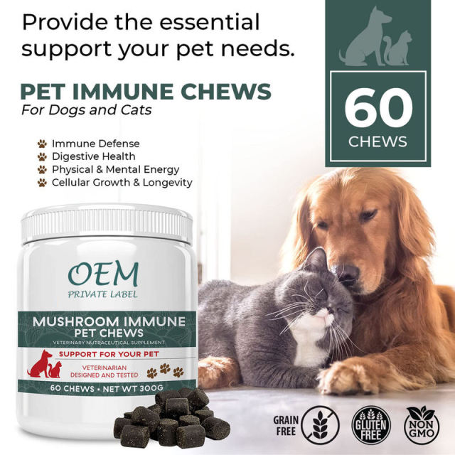Mushroom Immune Pet Chews for Dogs and Cats Veterinary Formula 60 Chews,MY SHOP,Mushroom Immune Pet Chews for Dogs and Cats Veterinary Formula 60 Chews