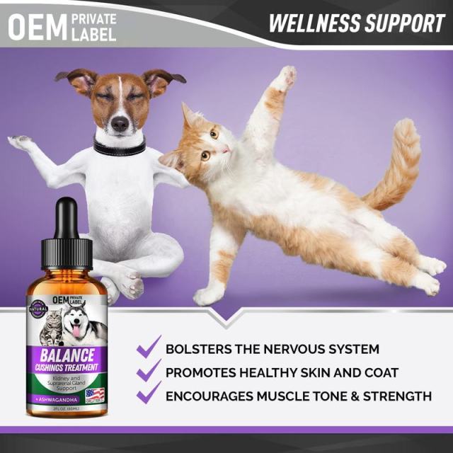 Bulk Pet Adrenal Balance Liquid Ashwagandha Kidney Support Formula,MY SHOP,Bulk Pet Adrenal Balance Liquid Ashwagandha Kidney Support Formula