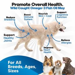 Private Label Wild Caught Fish Oil for Dogs Sardine Herring Mackerel,MY SHOP,Private Label Wild Caught Fish Oil for Dogs Sardine Herring Mackerel
