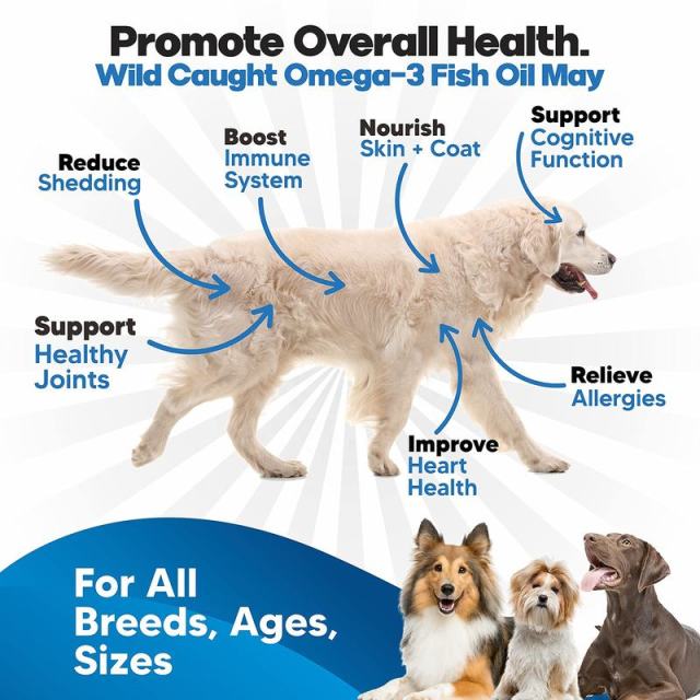 Private Label Wild Caught Fish Oil for Dogs Sardine Herring Mackerel,MY SHOP,Private Label Wild Caught Fish Oil for Dogs Sardine Herring Mackerel