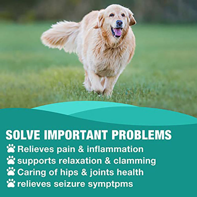 Wholesale Hemp Oil for Dogs Cats 75000mg Natural Ingredients Long Lasting OEM,MY SHOP,Wholesale Hemp Oil for Dogs Cats 75000mg Natural Ingredients Long Lasting OEM