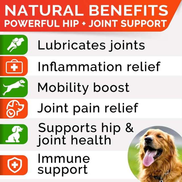 Private Label Dog Mobility Chews Hemp Oil MSM Turmeric Glucosamine Blend,MY SHOP,Private Label Dog Mobility Chews Hemp Oil MSM Turmeric Glucosamine Blend