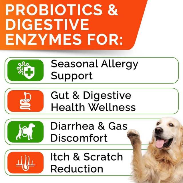 Probiotic Chews for Dogs Digestive Health 5 Strains Prebiotics Enzymes 120ct,MY SHOP,Probiotic Chews for Dogs Digestive Health 5 Strains Prebiotics Enzymes 120ct