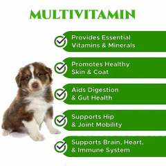 OEM Multivitamin Probiotic Dog Chews Digestive Health Skin Coat Joint Support,MY SHOP,OEM Multivitamin Probiotic Dog Chews Digestive Health Skin Coat Joint Support