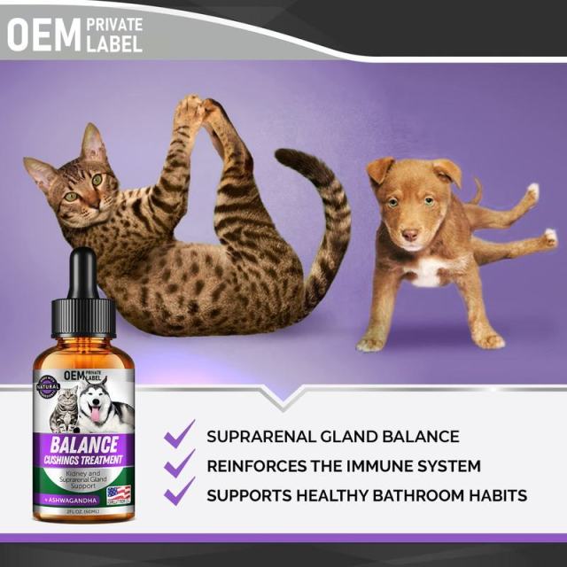 Bulk Pet Adrenal Balance Liquid Ashwagandha Kidney Support Formula,MY SHOP,Bulk Pet Adrenal Balance Liquid Ashwagandha Kidney Support Formula