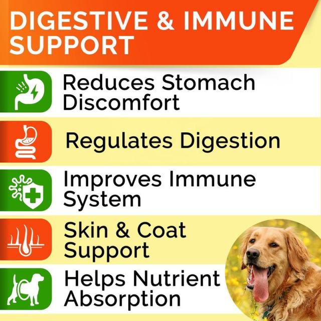 Private Label Dog Probiotics Supplement 5 Strain Blend Prebiotic Enzyme Formula,MY SHOP,Private Label Dog Probiotics Supplement 5 Strain Blend Prebiotic Enzyme Formula