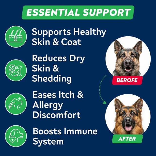 Omega-3 Fish Oil Soft Chews for Dogs Salmon Oil Skin Coat Support 180 Count,MY SHOP,Omega-3 Fish Oil Soft Chews for Dogs Salmon Oil Skin Coat Support 180 Count