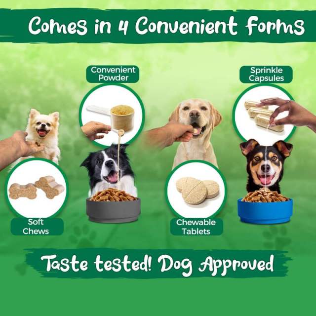 Private Label Dog Probiotic Powder 10 Raw Probiotic Strains Organic Prebiotics,MY SHOP,Private Label Dog Probiotic Powder 10 Raw Probiotic Strains Organic Prebiotics