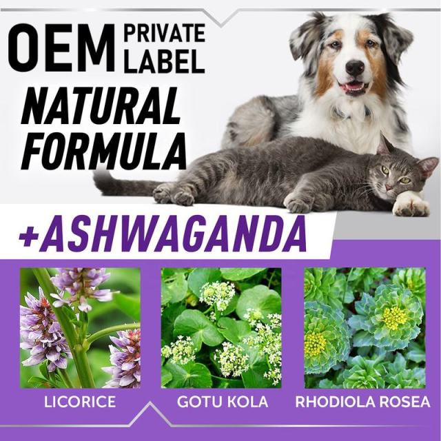 Bulk Pet Adrenal Balance Liquid Ashwagandha Kidney Support Formula,MY SHOP,Bulk Pet Adrenal Balance Liquid Ashwagandha Kidney Support Formula