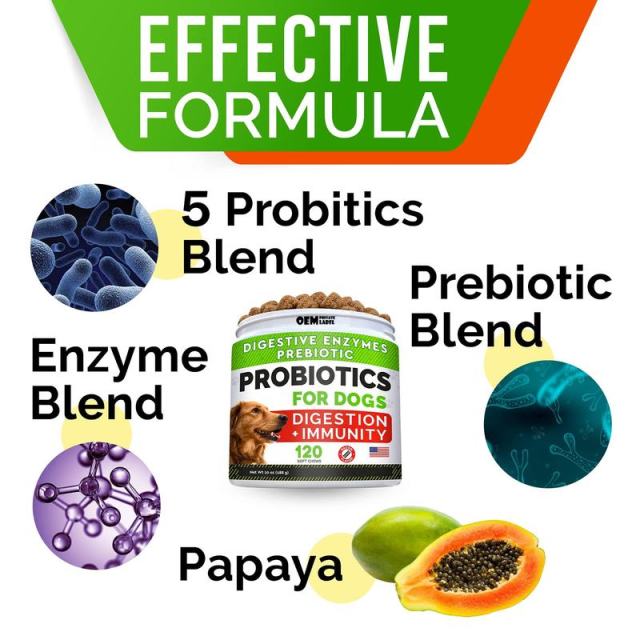 Private Label Dog Probiotics Supplement 5 Strain Blend Prebiotic Enzyme Formula,MY SHOP,Private Label Dog Probiotics Supplement 5 Strain Blend Prebiotic Enzyme Formula