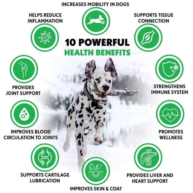 Bulk Dog Hip Joint Chews 19500mg Hemp Extract Glucosamine 90 Count,MY SHOP,Bulk Dog Hip Joint Chews 19500mg Hemp Extract Glucosamine 90 Count