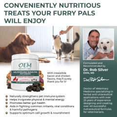 Mushroom Immune Pet Chews for Dogs and Cats Veterinary Formula 60 Chews,MY SHOP,Mushroom Immune Pet Chews for Dogs and Cats Veterinary Formula 60 Chews