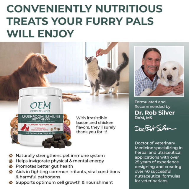 Mushroom Immune Pet Chews for Dogs and Cats Veterinary Formula 60 Chews,MY SHOP,Mushroom Immune Pet Chews for Dogs and Cats Veterinary Formula 60 Chews