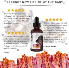 Wholesale RestoraPet AM Formula Pet Supplement Pain Relief Joint Support OEM,MY SHOP,Wholesale RestoraPet AM Formula Pet Supplement Pain Relief Joint Support OEM