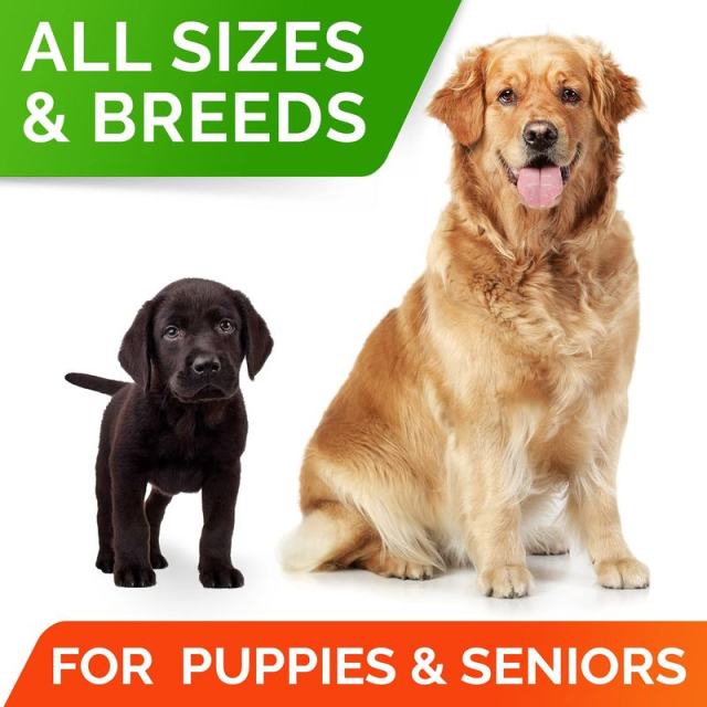 Private Label Dog Probiotics Supplement 5 Strain Blend Prebiotic Enzyme Formula,MY SHOP,Private Label Dog Probiotics Supplement 5 Strain Blend Prebiotic Enzyme Formula