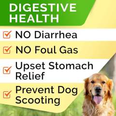 Probiotic Chews for Dogs Digestive Health 5 Strains Prebiotics Enzymes 120ct,MY SHOP,Probiotic Chews for Dogs Digestive Health 5 Strains Prebiotics Enzymes 120ct