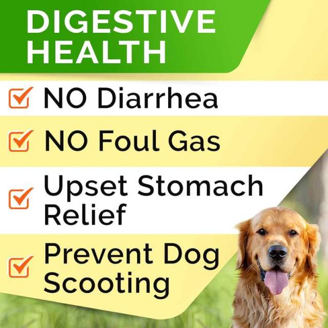 Probiotic Chews for Dogs Digestive Health 5 Strains Prebiotics Enzymes 120ct,MY SHOP,Probiotic Chews for Dogs Digestive Health 5 Strains Prebiotics Enzymes 120ct