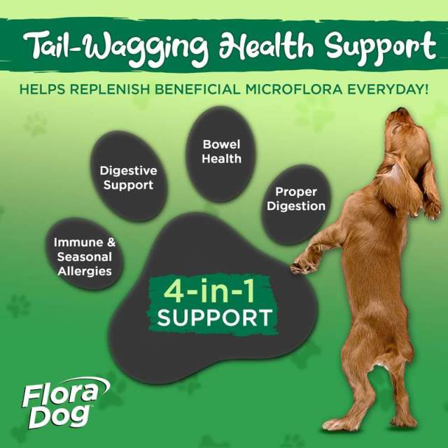 Private Label Dog Probiotic Powder 10 Raw Probiotic Strains Organic Prebiotics,MY SHOP,Private Label Dog Probiotic Powder 10 Raw Probiotic Strains Organic Prebiotics
