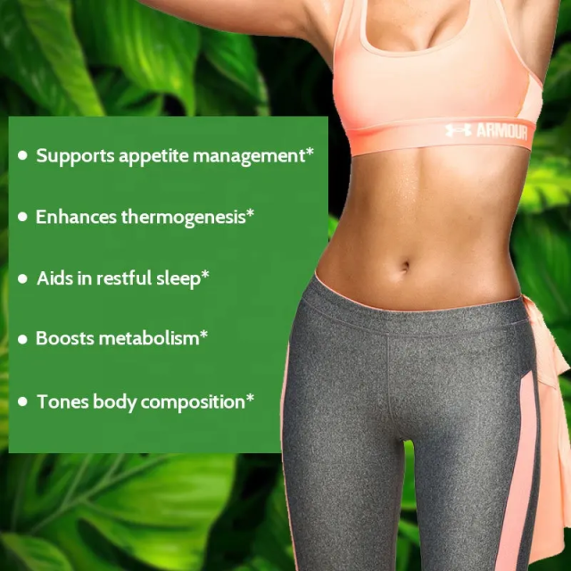 OEM Slim Plus Fat Burner Tablets Manufacturer,MY SHOP,OEM Slim Plus Fat Burner Tablets Manufacturer