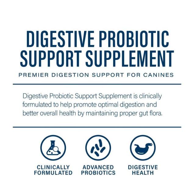 White Label Advanced Probiotic Dog Chews for Optimal Digestion & Immunity,MY SHOP,White Label Advanced Probiotic Dog Chews for Optimal Digestion & Immunity