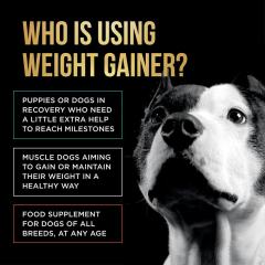 OEM/ODM Dog Weight & Muscle Support Supplement for Recovery & Working Breeds,MY SHOP,OEM/ODM Dog Weight & Muscle Support Supplement for Recovery & Working Breeds