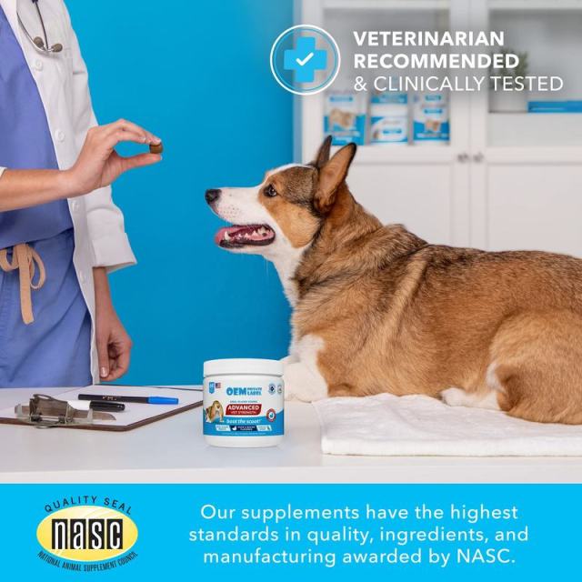 OEM/ODM Veterinarian-Recommended Dog Anal Gland Health Chews,MY SHOP,OEM/ODM Veterinarian-Recommended Dog Anal Gland Health Chews