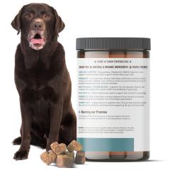 B2B Custom Senior Dog Joint & Gut Support Chews with Glucosamine & Probiotics,MY SHOP,B2B Custom Senior Dog Joint & Gut Support Chews with Glucosamine & Probiotics