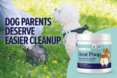 B2B Custom Dog Probiotic & Digestive Enzyme Soft Chews for Firm Stools,MY SHOP,B2B Custom Dog Probiotic & Digestive Enzyme Soft Chews for Firm Stools