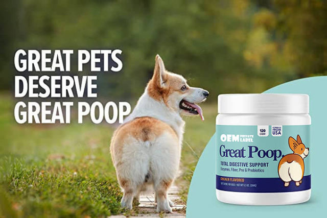 B2B Custom Dog Probiotic & Digestive Enzyme Soft Chews for Firm Stools,MY SHOP,B2B Custom Dog Probiotic & Digestive Enzyme Soft Chews for Firm Stools
