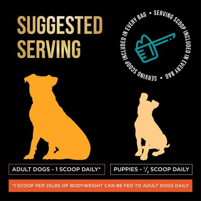 OEM/ODM Dog Weight & Muscle Support Supplement for Recovery & Working Breeds,MY SHOP,OEM/ODM Dog Weight & Muscle Support Supplement for Recovery & Working Breeds