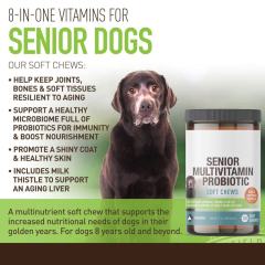 B2B Custom Senior Dog Joint & Gut Support Chews with Glucosamine & Probiotics,MY SHOP,B2B Custom Senior Dog Joint & Gut Support Chews with Glucosamine & Probiotics
