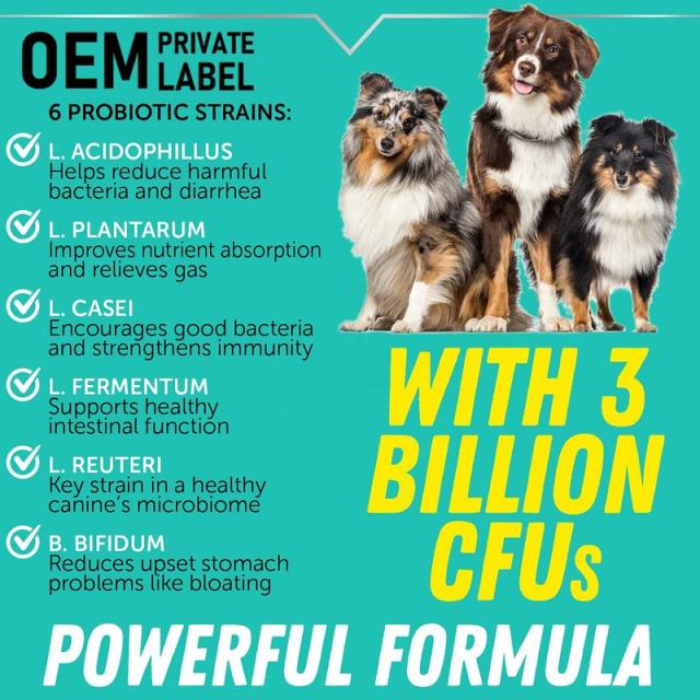 B2B Custom Pet Probiotic Drops for Digestive Health & Immunity,MY SHOP,B2B Custom Pet Probiotic Drops for Digestive Health & Immunity