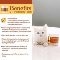 OEM Factory Probiotics Prebiotics Powder For Dogs Cats 12 Strains 5 Billion CFU Per Scoop Flavorless Digestive Health Immune Support Diarrhea Relief Gas Bad Breath Control Veterinarian Formulated 72g,MY SHOP,OEM Factory Probiotics Prebiotics Powder For Dogs Cats 12 Strains 5 Billion CFU Per Scoop Flavorless Digestive Health Immune Support Diarrhea Relief Gas Bad Breath Control Veterinarian Formulated 72g