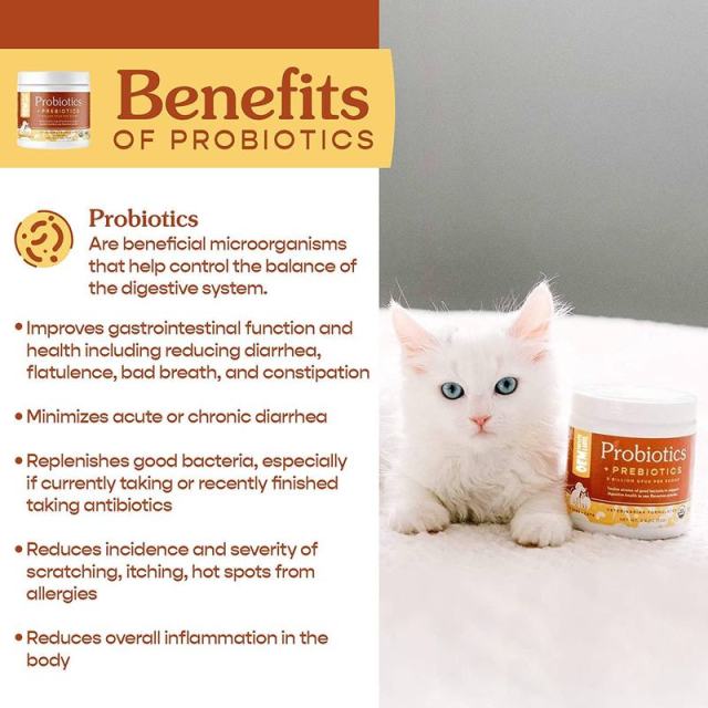 OEM Factory Probiotics Prebiotics Powder For Dogs Cats 12 Strains 5 Billion CFU Per Scoop Flavorless Digestive Health Immune Support Diarrhea Relief Gas Bad Breath Control Veterinarian Formulated 72g,MY SHOP,OEM Factory Probiotics Prebiotics Powder For Dogs Cats 12 Strains 5 Billion CFU Per Scoop Flavorless Digestive Health Immune Support Diarrhea Relief Gas Bad Breath Control Veterinarian Formulated 72g