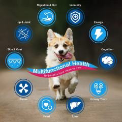 OEM Factory Dog Multivitamin Powder All Ages Digestion Gut Health Skin Coat Hip Joint Support Energy Immunity Probiotics Glucosamine Chondroitin MSM Omega-3 Enzymes Flaxseed Vitamins 360g 90 Scoops,MY SHOP,OEM Factory Dog Multivitamin Powder All Ages Digestion Gut Health Skin Coat Hip Joint Support Energy Immunity Probiotics Glucosamine Chondroitin MSM Omega-3 Enzymes Flaxseed Vitamins 360g 90 Scoops