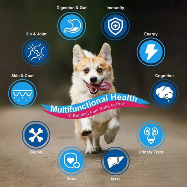 OEM Factory Dog Multivitamin Powder All Ages Digestion Gut Health Skin Coat Hip Joint Support Energy Immunity Probiotics Glucosamine Chondroitin MSM Omega-3 Enzymes Flaxseed Vitamins 360g 90 Scoops,MY SHOP,OEM Factory Dog Multivitamin Powder All Ages Digestion Gut Health Skin Coat Hip Joint Support Energy Immunity Probiotics Glucosamine Chondroitin MSM Omega-3 Enzymes Flaxseed Vitamins 360g 90 Scoops