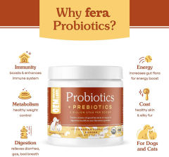 OEM Factory Probiotics Prebiotics Powder For Dogs Cats 12 Strains 5 Billion CFU Per Scoop Flavorless Digestive Health Immune Support Diarrhea Relief Gas Bad Breath Control Veterinarian Formulated 72g,MY SHOP,OEM Factory Probiotics Prebiotics Powder For Dogs Cats 12 Strains 5 Billion CFU Per Scoop Flavorless Digestive Health Immune Support Diarrhea Relief Gas Bad Breath Control Veterinarian Formulated 72g