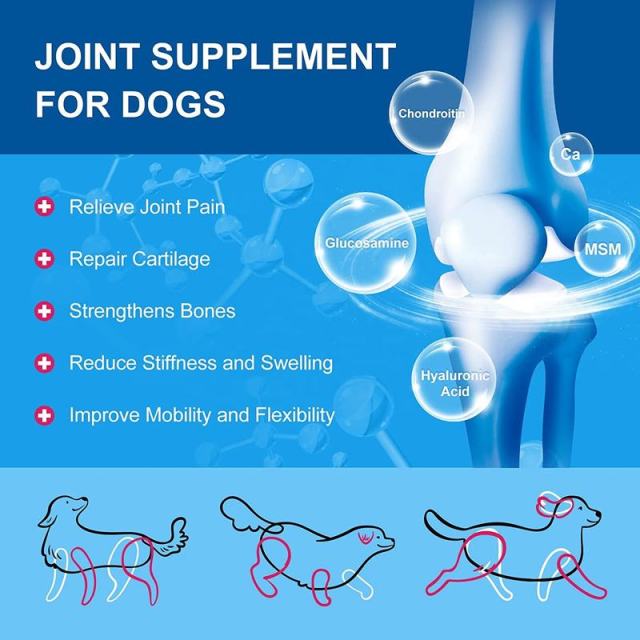 OEM Factory Dog Multivitamin Powder All Ages Digestion Gut Health Skin Coat Hip Joint Support Energy Immunity Probiotics Glucosamine Chondroitin MSM Omega-3 Enzymes Flaxseed Vitamins 360g 90 Scoops,MY SHOP,OEM Factory Dog Multivitamin Powder All Ages Digestion Gut Health Skin Coat Hip Joint Support Energy Immunity Probiotics Glucosamine Chondroitin MSM Omega-3 Enzymes Flaxseed Vitamins 360g 90 Scoops