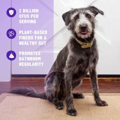 OEM Factory Probiotic Dog Chews For All Ages 2 Billion CFU Per Chew Psyllium Husk Plant-Based Fibers Digestive Health Support Promotes Bathroom Regularity Healthy Gut Formula 120 Chews 480g 16.9oz,MY SHOP,OEM Factory Probiotic Dog Chews For All Ages 2 Billion CFU Per Chew Psyllium Husk Plant-Based Fibers Digestive Health Support Promotes Bathroom Regularity Healthy Gut Formula 120 Chews 480g 16.9oz