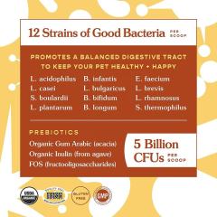 OEM Factory Probiotics Prebiotics Powder For Dogs Cats 12 Strains 5 Billion CFU Per Scoop Flavorless Digestive Health Immune Support Diarrhea Relief Gas Bad Breath Control Veterinarian Formulated 72g,MY SHOP,OEM Factory Probiotics Prebiotics Powder For Dogs Cats 12 Strains 5 Billion CFU Per Scoop Flavorless Digestive Health Immune Support Diarrhea Relief Gas Bad Breath Control Veterinarian Formulated 72g