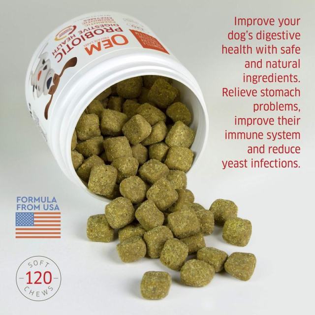 OEM Supplier Dog Gut Health Soft Chews Probiotics Prebiotics Digestive Enzymes Amylase Protease Lipase Cellulase Lactase Bromelain Lactobacillus Blend Supports Healthy Digestion Relieves Gas Diarrhea Strengthens Immunity 120 Count 264g,MY SHOP,OEM Supplier Dog Gut Health Soft Chews Probiotics Prebiotics Digestive Enzymes Amylase Protease Lipase Cellulase Lactase Bromelain Lactobacillus Blend Supports Healthy Digestion Relieves Gas Diarrhea Strengthens Immunity 120 Count 264g