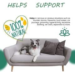 Bulk Manufacturer Natural Calming Treats for Dogs Hemp Extract Stress Anxiety Support Relaxation Aid Calming Chews Highly Palatable Duck Flavor Non-GMO Premium 120 Soft Chews 215g,MY SHOP,Bulk Manufacturer Natural Calming Treats for Dogs Hemp Extract Stress Anxiety Support Relaxation Aid Calming Chews Highly Palatable Duck Flavor Non-GMO Premium 120 Soft Chews 215g