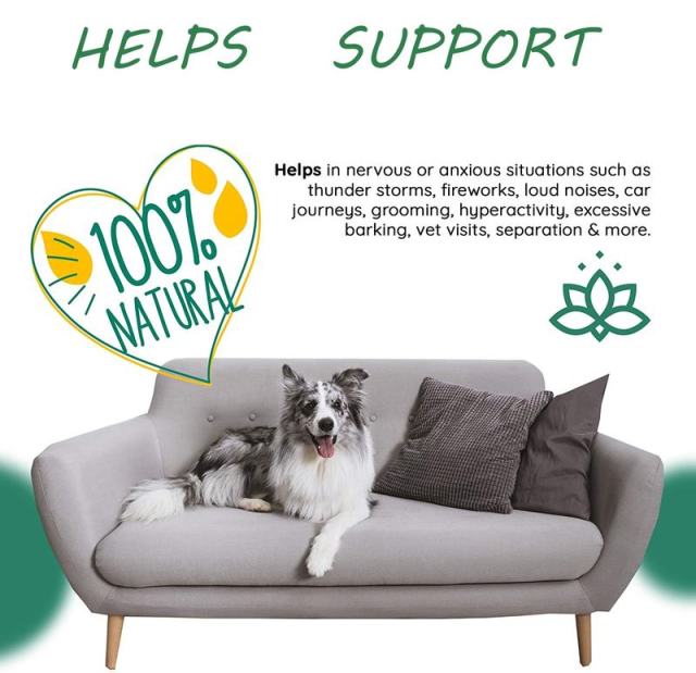 Bulk Manufacturer Natural Calming Treats for Dogs Hemp Extract Stress Anxiety Support Relaxation Aid Calming Chews Highly Palatable Duck Flavor Non-GMO Premium 120 Soft Chews 215g,MY SHOP,Bulk Manufacturer Natural Calming Treats for Dogs Hemp Extract Stress Anxiety Support Relaxation Aid Calming Chews Highly Palatable Duck Flavor Non-GMO Premium 120 Soft Chews 215g
