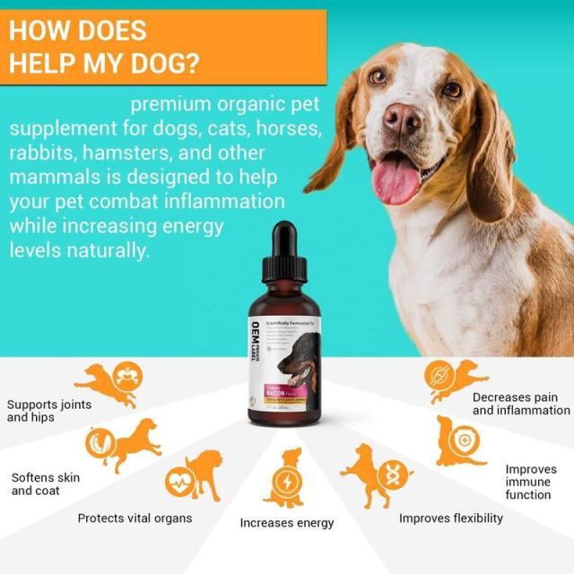 OEM Factory AM Formula Liquid Drops Pain Relief Joint Support Energy Boost Coat Condition Vital Organ Protection For All Pets Organic Bacon Flavor 60ml,MY SHOP,Private Label Manufacturer Restorative Pet Wellness Drops Scientifically Formulated Pain Relief Joint Support Inflammation Reduction Energy Boost Appetite Regulation Coat Condition Improvement Vital Organ Protection For Dogs Cats Exotic Animals All Ages O