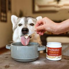 OEM Factory Probiotics Prebiotics Powder For Dogs Cats 12 Strains 5 Billion CFU Per Scoop Flavorless Digestive Health Immune Support Diarrhea Relief Gas Bad Breath Control Veterinarian Formulated 72g,MY SHOP,OEM Factory Probiotics Prebiotics Powder For Dogs Cats 12 Strains 5 Billion CFU Per Scoop Flavorless Digestive Health Immune Support Diarrhea Relief Gas Bad Breath Control Veterinarian Formulated 72g