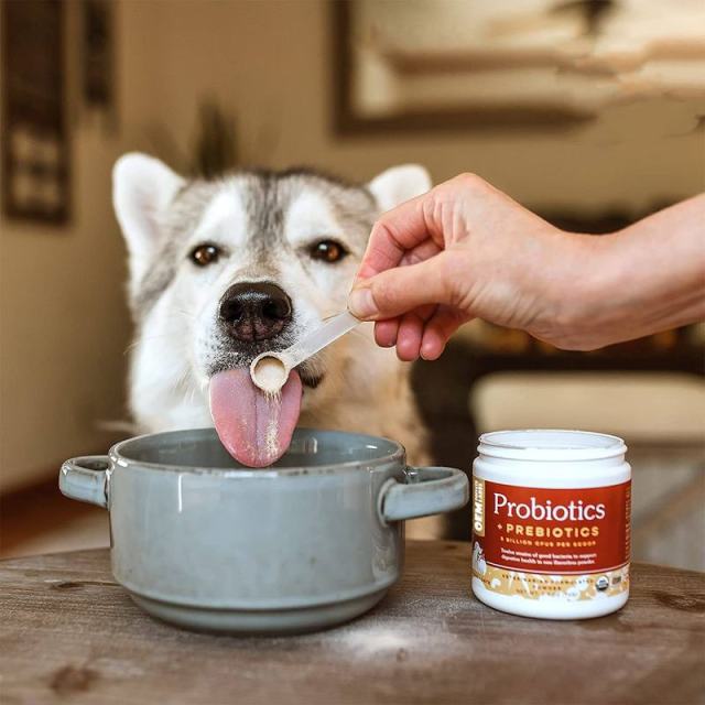 OEM Factory Probiotics Prebiotics Powder For Dogs Cats 12 Strains 5 Billion CFU Per Scoop Flavorless Digestive Health Immune Support Diarrhea Relief Gas Bad Breath Control Veterinarian Formulated 72g,MY SHOP,OEM Factory Probiotics Prebiotics Powder For Dogs Cats 12 Strains 5 Billion CFU Per Scoop Flavorless Digestive Health Immune Support Diarrhea Relief Gas Bad Breath Control Veterinarian Formulated 72g