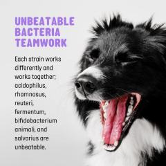 OEM Factory Probiotic Dog Chews For All Ages 2 Billion CFU Per Chew Psyllium Husk Plant-Based Fibers Digestive Health Support Promotes Bathroom Regularity Healthy Gut Formula 120 Chews 480g 16.9oz,MY SHOP,OEM Factory Probiotic Dog Chews For All Ages 2 Billion CFU Per Chew Psyllium Husk Plant-Based Fibers Digestive Health Support Promotes Bathroom Regularity Healthy Gut Formula 120 Chews 480g 16.9oz