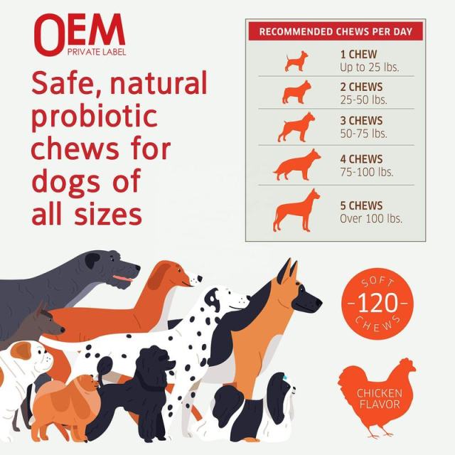 OEM Supplier Dog Gut Health Soft Chews Probiotics Prebiotics Digestive Enzymes Amylase Protease Lipase Cellulase Lactase Bromelain Lactobacillus Blend Supports Healthy Digestion Relieves Gas Diarrhea Strengthens Immunity 120 Count 264g,MY SHOP,OEM Supplier Dog Gut Health Soft Chews Probiotics Prebiotics Digestive Enzymes Amylase Protease Lipase Cellulase Lactase Bromelain Lactobacillus Blend Supports Healthy Digestion Relieves Gas Diarrhea Strengthens Immunity 120 Count 264g