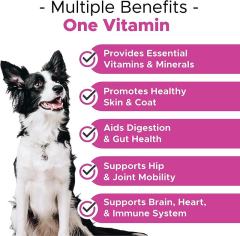 OEM Factory 10-in-1 Multivitamin Soft Chews For Dogs Probiotics Omega-3 Glucosamine Chondroitin Fish Oil 7 Strain Probiotics Vitamin C Digestion Skin Coat Joint Brain Heart Immune Chicken Flavor 90 Chews 270g,MY SHOP,OEM Factory 10-in-1 Multivitamin Soft Chews For Dogs Probiotics Omega-3 Glucosamine Chondroitin Fish Oil 7 Strain Probiotics Vitamin C Digestion Skin Coat Joint Brain Heart Immune Chicken Flavor 90 Chews 270g