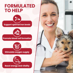 OEM Factory Liquid Iron Supplement For Dogs Cats With Vitamin B12 C B6 A D3 B1 B2 B5 Folic Acid Glucosamine Cranberry MSM Chondroitin Supports Optimal Iron Levels Blood Cell Formation Oxygen Supply Energy Vitality Chicken Flavor 60ml,MY SHOP,OEM Factory Liquid Iron Supplement For Dogs Cats With Vitamin B12 C B6 A D3 B1 B2 B5 Folic Acid Glucosamine Cranberry MSM Chondroitin Supports Optimal Iron Levels Blood Cell Formation Oxygen Supply Energy Vitality Chicken Flavor 60ml